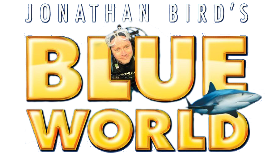 Hollywood Divers Featured in Jonathan Birds Blue World Episode with Joelle Carter