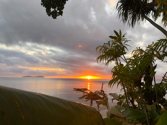 Fiji Trip Video 2022 Beqa Lagoon