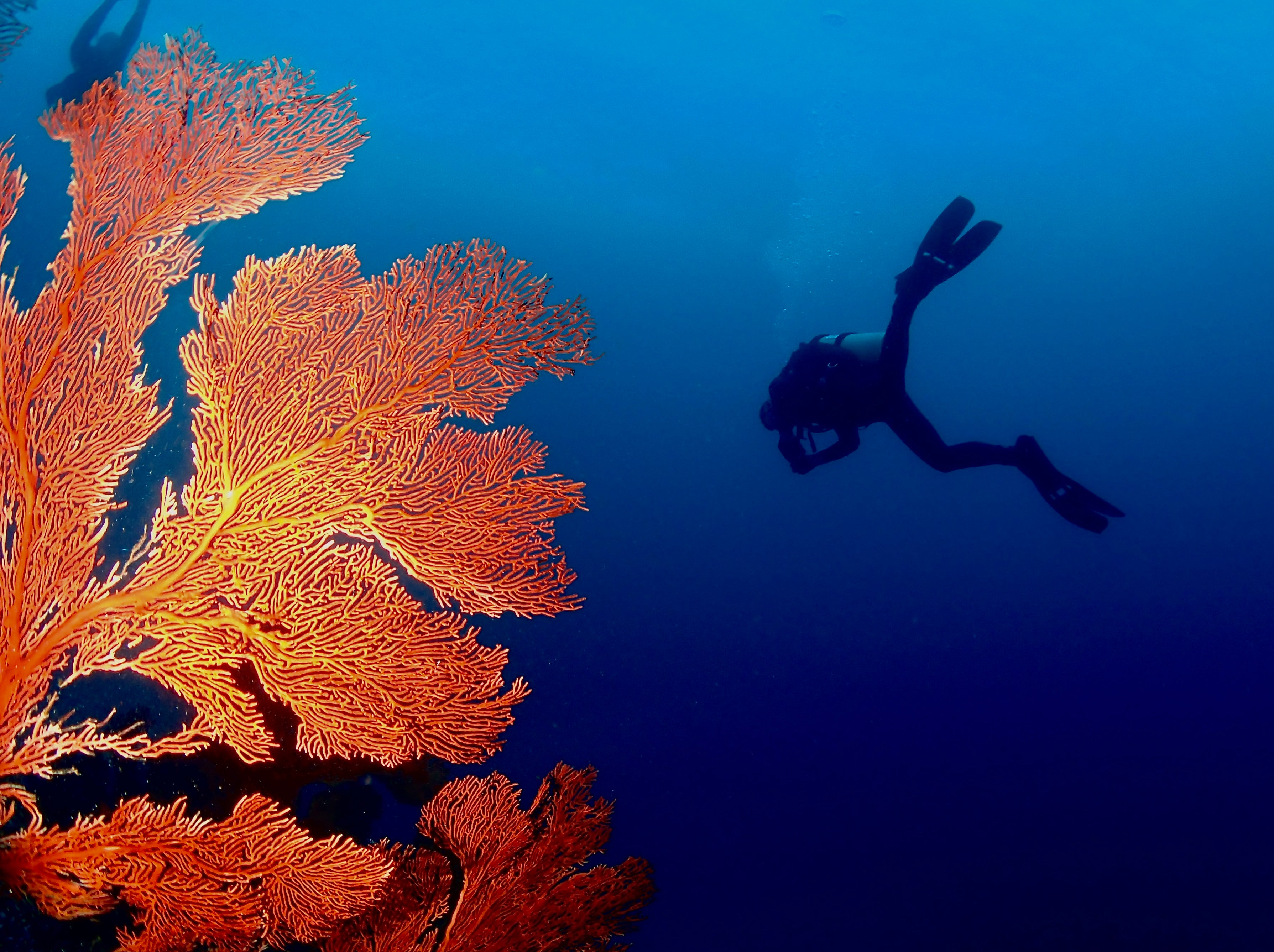 Hal Wells Underwater Photographer Shooting Ikelite DS-51 Strobe