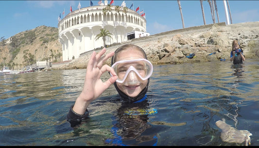 ( Blue ) Friday Diving Gear From Hollywood Divers Black Friday ?