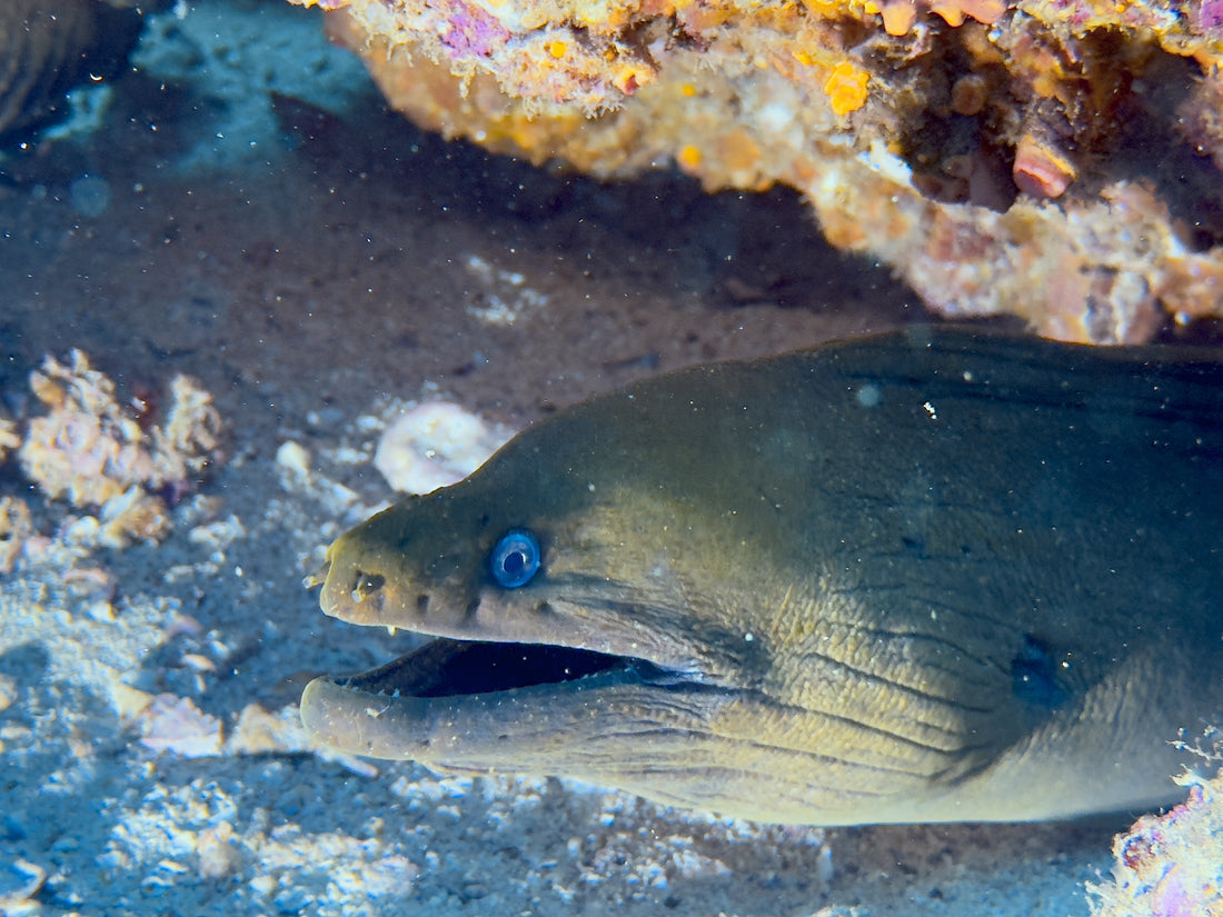 New Gear, Trip Review, Blue Friday Info - Holiday Plans