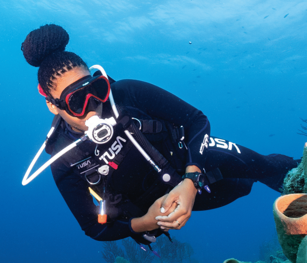Our Lastest Hollywood Divers Website