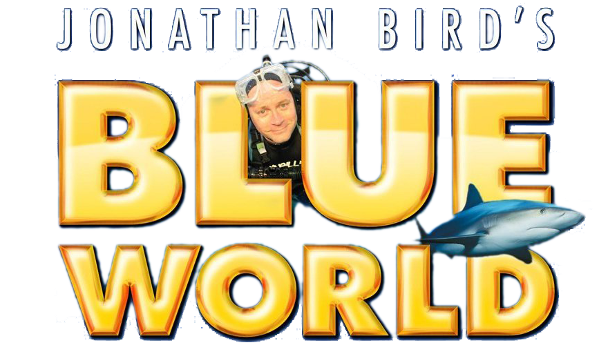 Hollywood Divers Featured in Jonathan Birds Blue World Episode with Jo