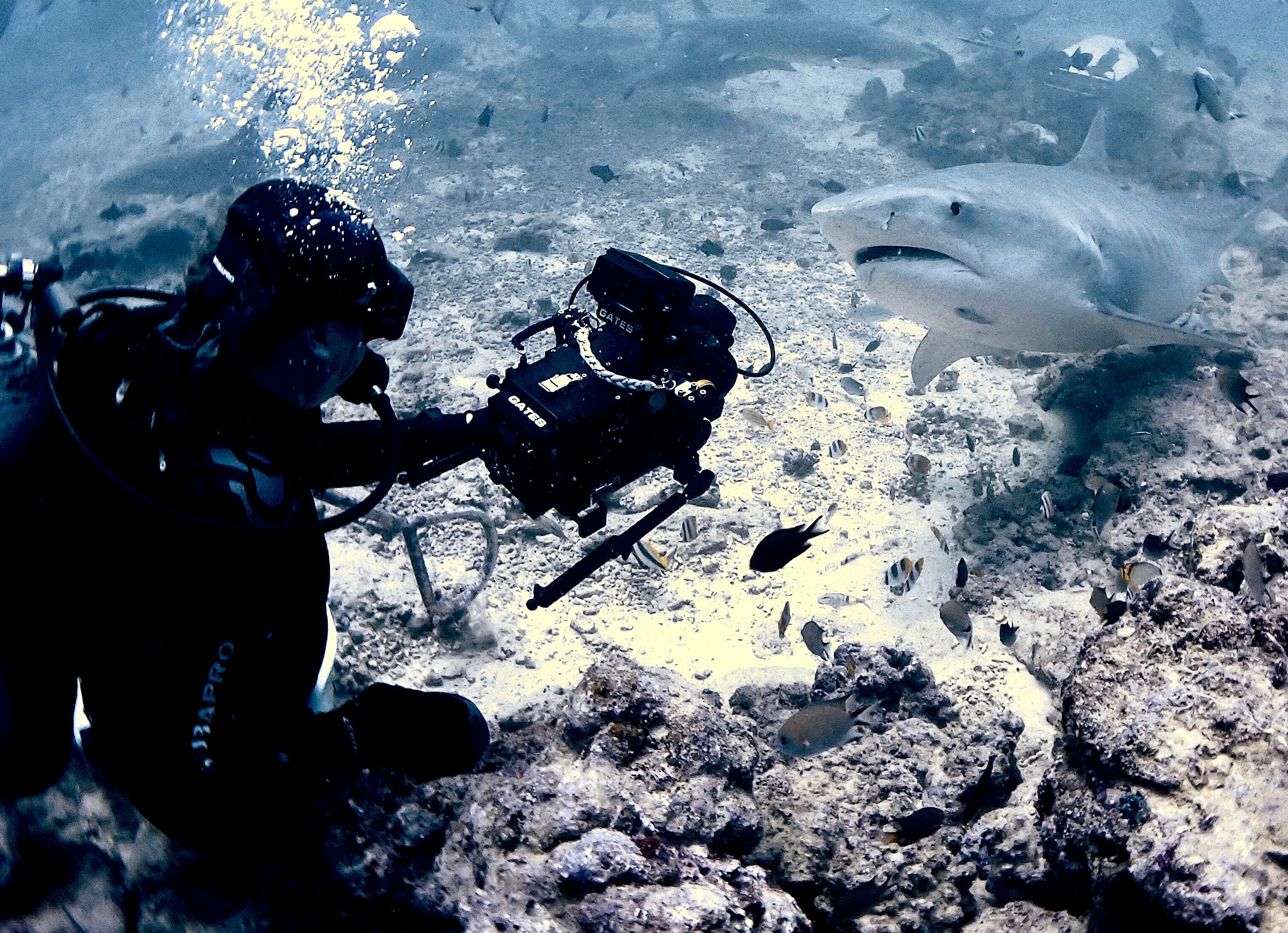 Dive Gear Deals