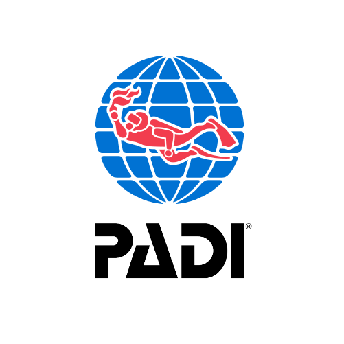 PADI Diving Homework Online