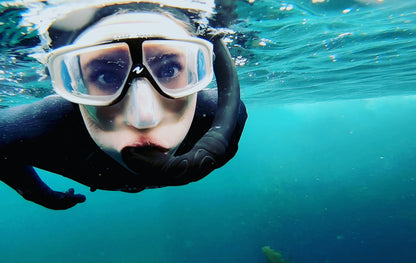 Naui Skin Diver Digital Academics