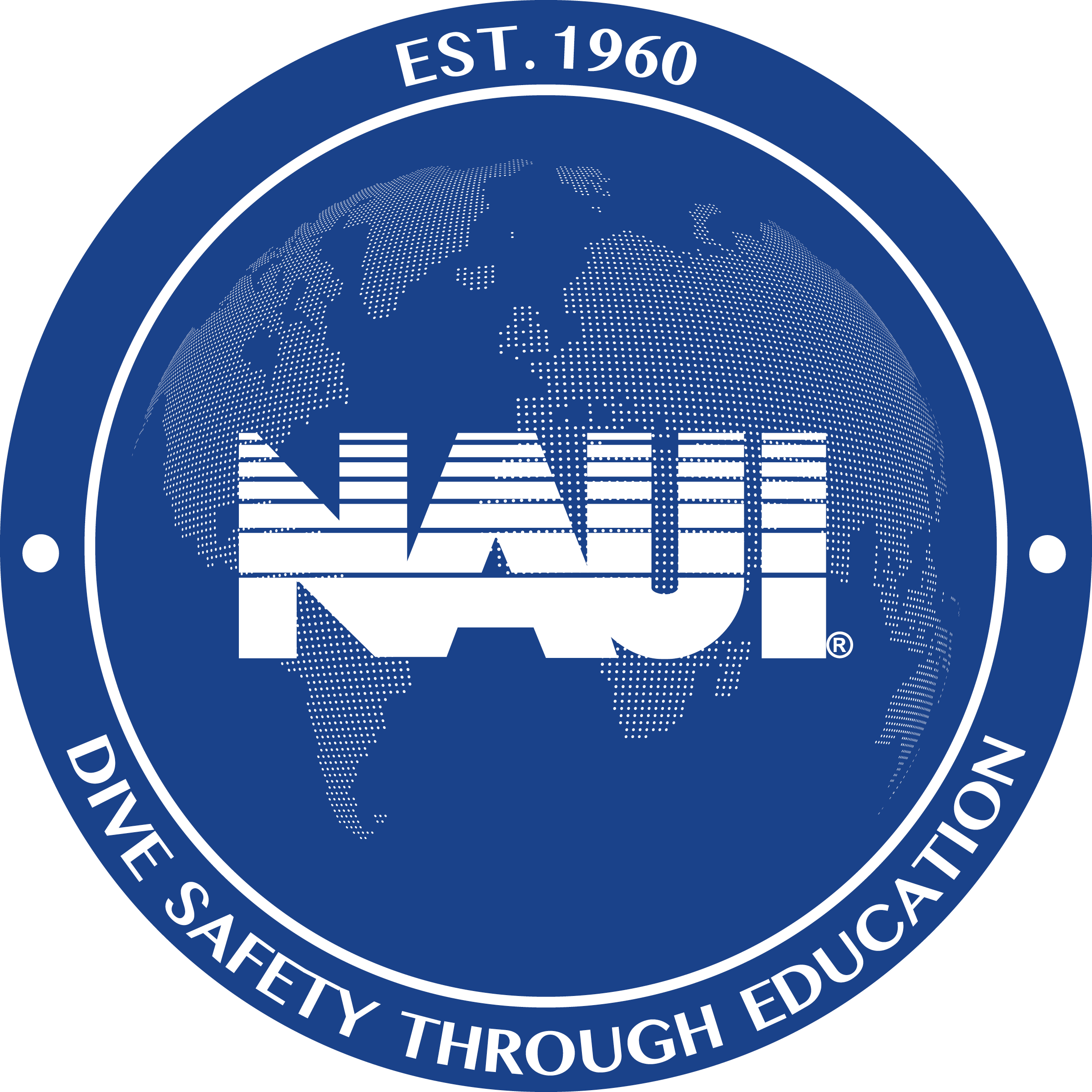 NAUI Night & Limited Visibility Diver: Digital NES