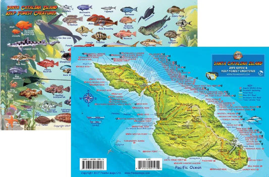 Trident SANTA CATALINA CARD