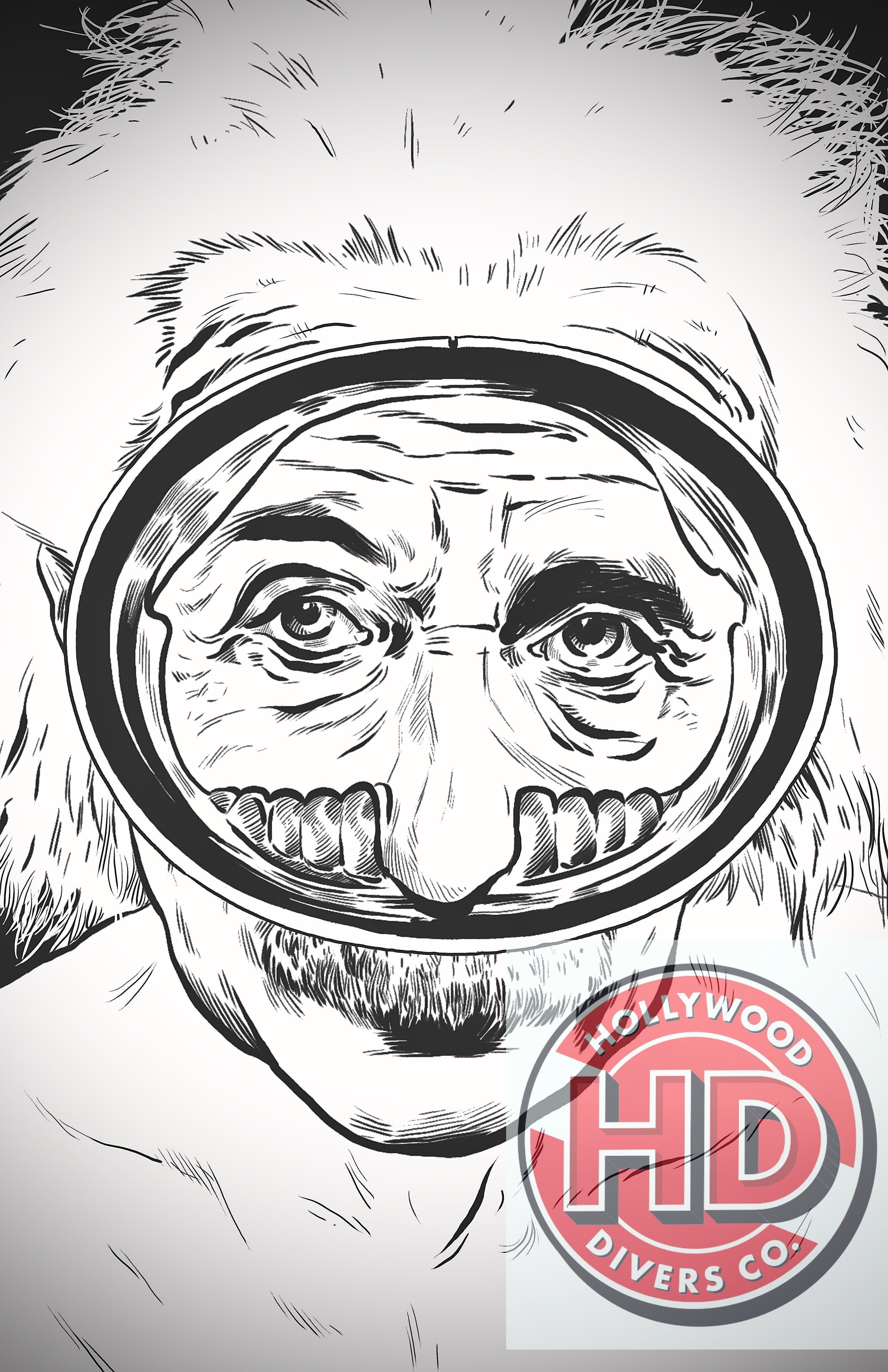 Hollywood Divers Tee Shirts ON SALE