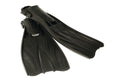 Sherwood Triton Fins