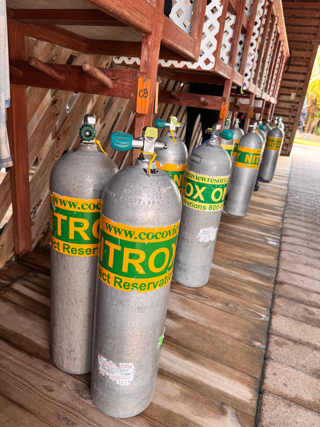 Hollywood Divers NAUI Online Nitrox Diver training with Review