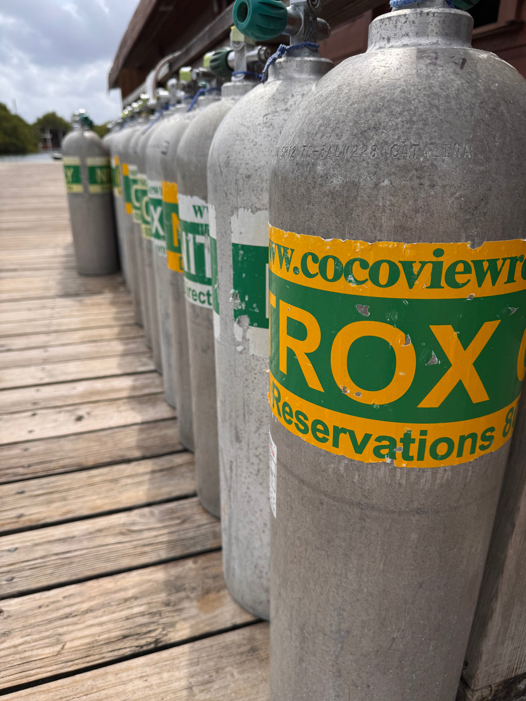 Hollywood Divers NAUI Online Nitrox Diver training with Review