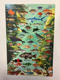 Trident Franko's California Kelp Forest Creatures Card