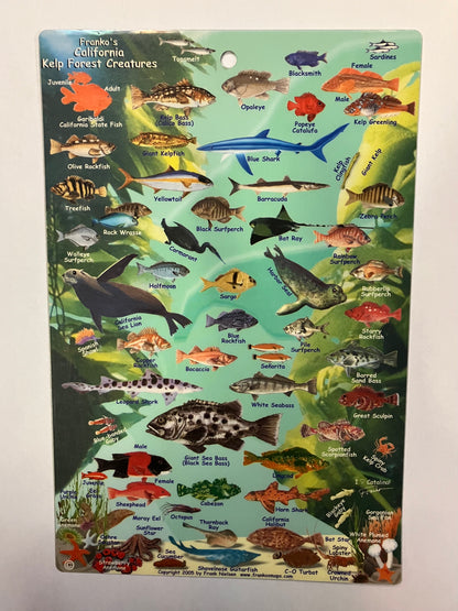 Trident Franko's California Kelp Forest Creatures Card