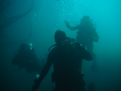 Black Friday November 28th 2025 Spectre Anacapa Boat Dive