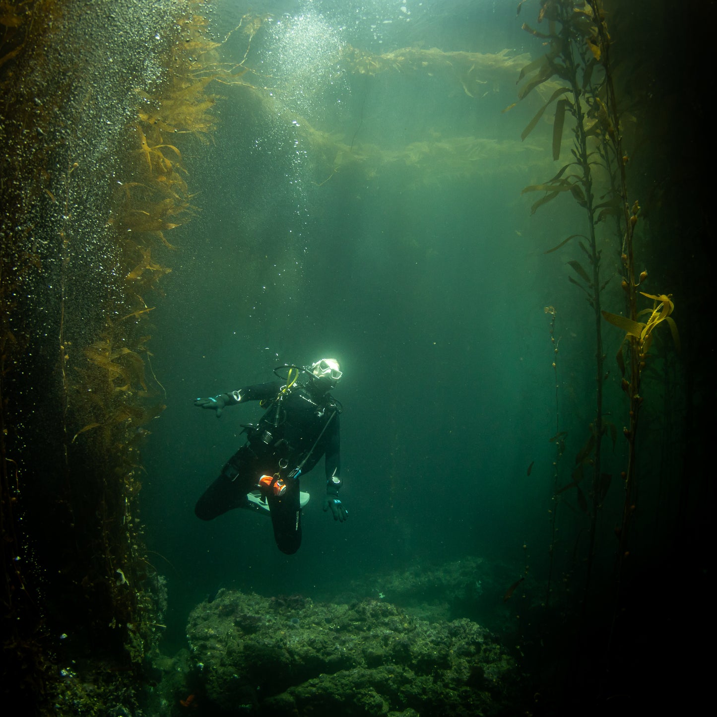 Ikelite CANON R10 KIT W/ PORT, CAMERA, LENS, HANDLES & VACUUM