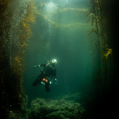 Ikelite CANON R10 KIT W/ PORT, CAMERA, LENS, HANDLES & VACUUM