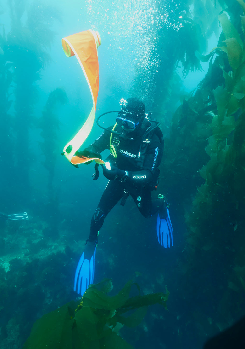 NAUI Instructor Course Candidate Packet: Digital Education - required Instructor Homework