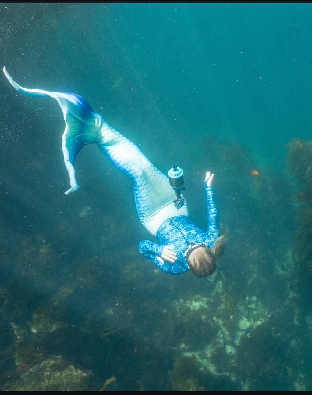 PADI Mermaid Classes (Call to Inquire About Prices)