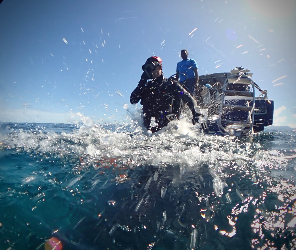 UNDERWATER FILM SERVICES - Information Only - Do Not Place in Cart