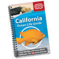 California Ocean Life Guide