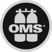 OMS Mesh Bag Strap